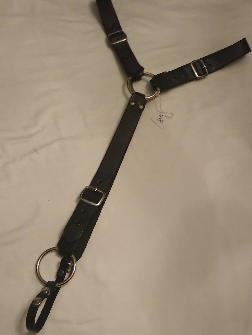 Leather & Ring Harness #56